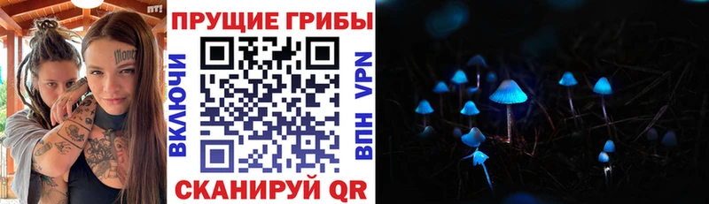 Псилоцибиновые грибы мухоморы  Курганинск 